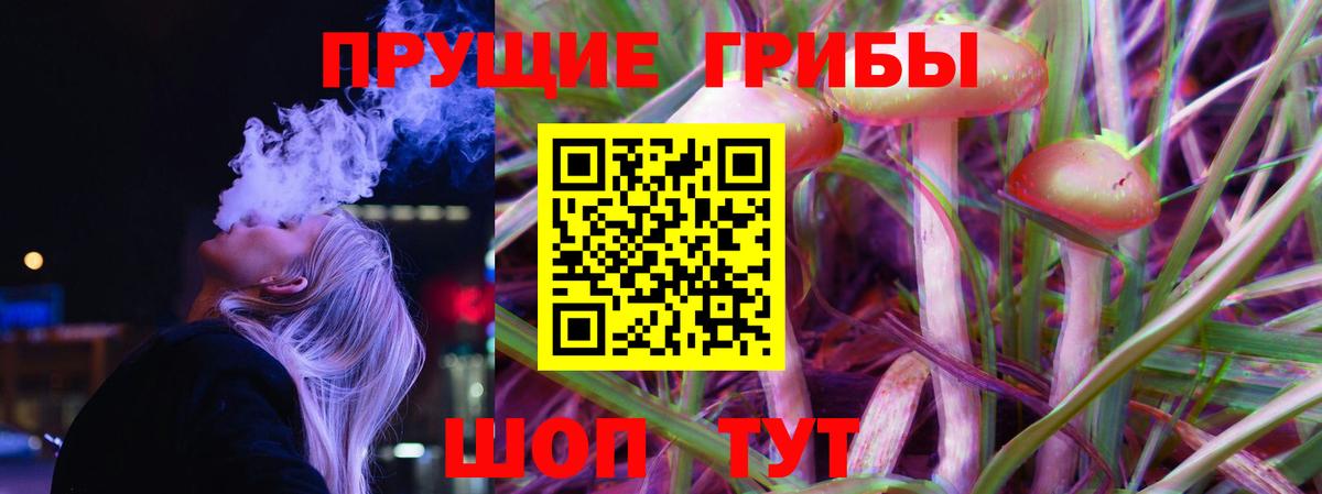 Нурлат  Галлюциногенные грибы MAGIC MUSHROOMS  Вход с VPN  Псилоцибиновые грибы ЛСД 
